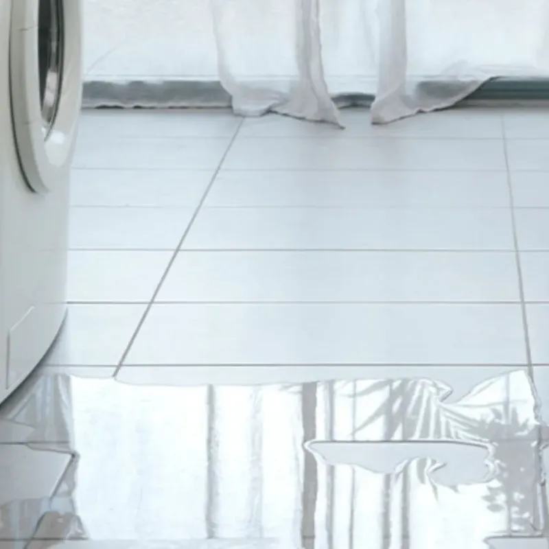 Appliance Leak Cleanup in Charles City, IA