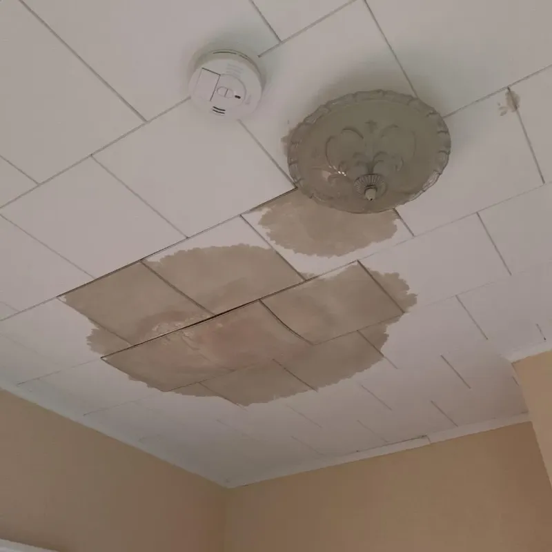 Ceiling Water Damage Repair in Charles City, IA