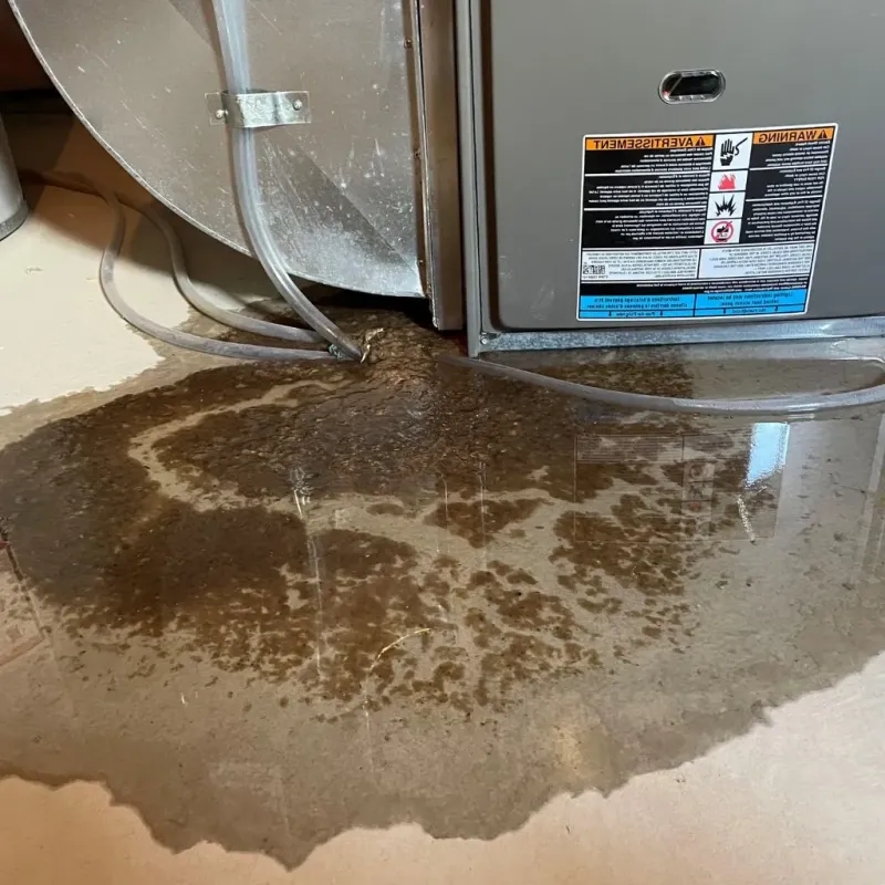 Pipe Burst and Leak Restoration in Charles City, IA