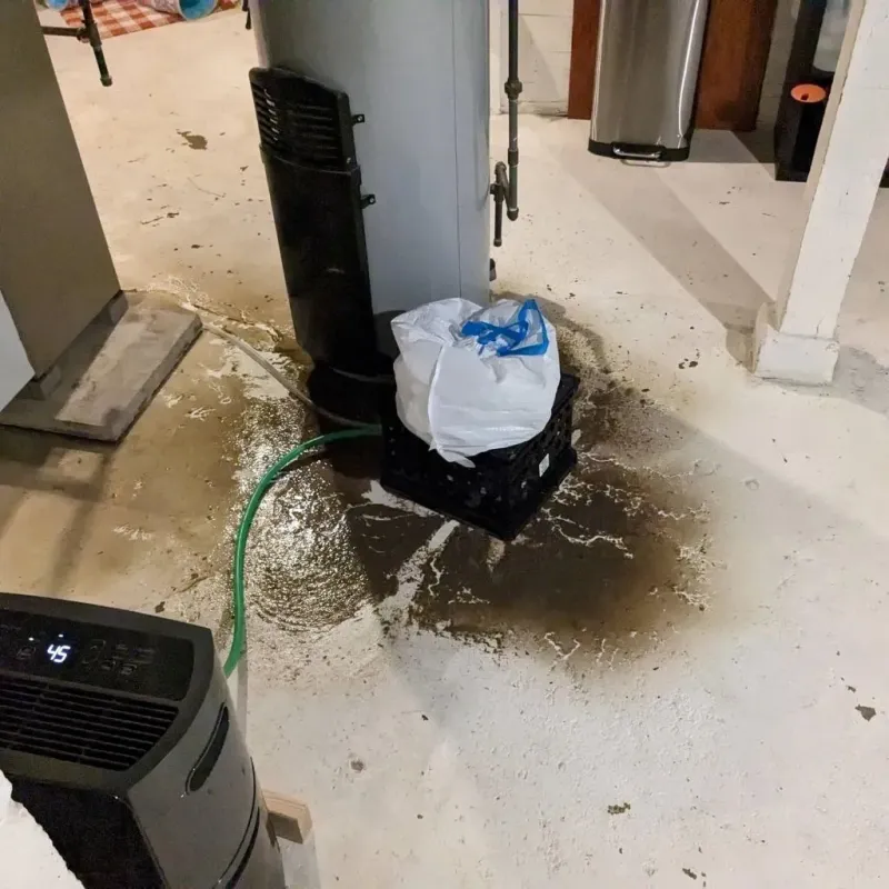 Sewage Backup Cleanup Service in Charles City, IA